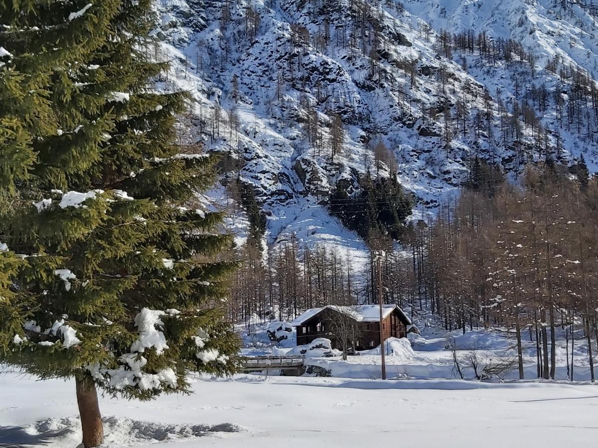 Chalet Rosa Dei Monti Piamprato Exterior photo