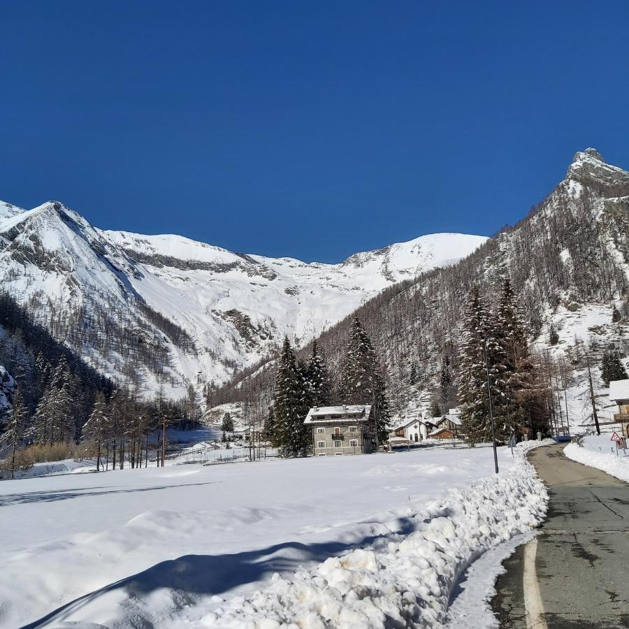 Chalet Rosa Dei Monti Piamprato Exterior photo