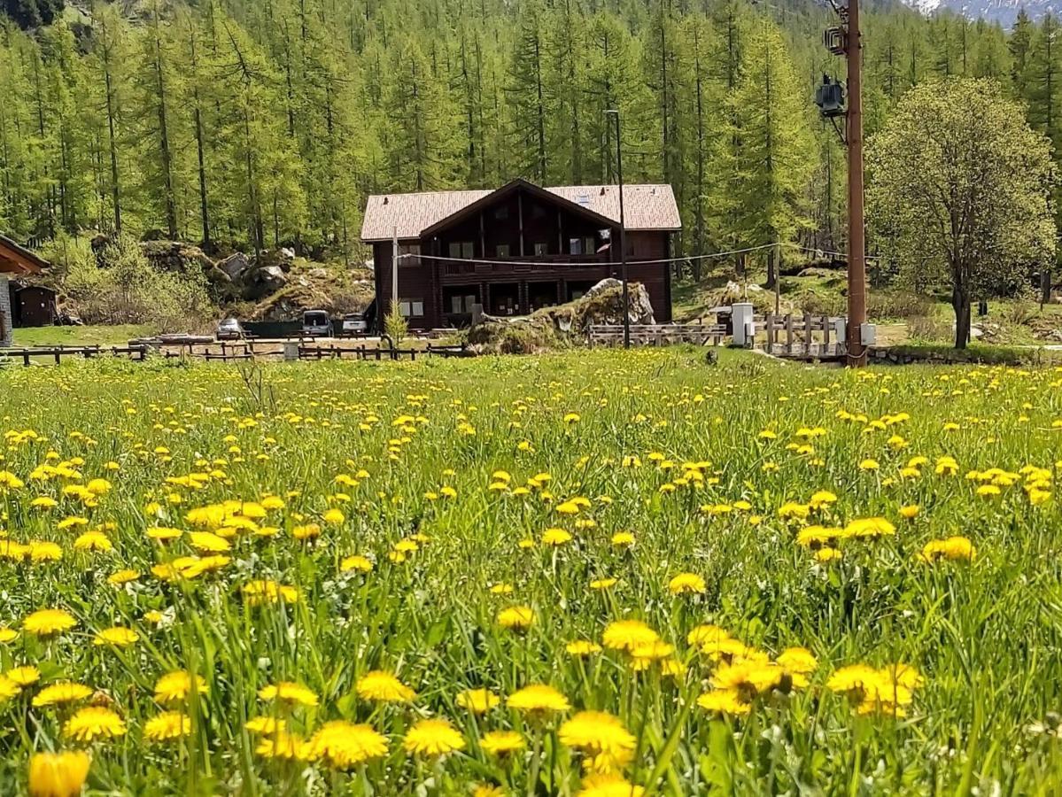 Chalet Rosa Dei Monti Piamprato Exterior photo