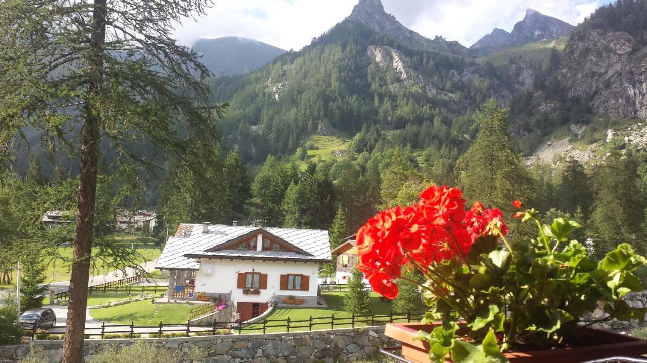 Chalet Rosa Dei Monti Piamprato Exterior photo