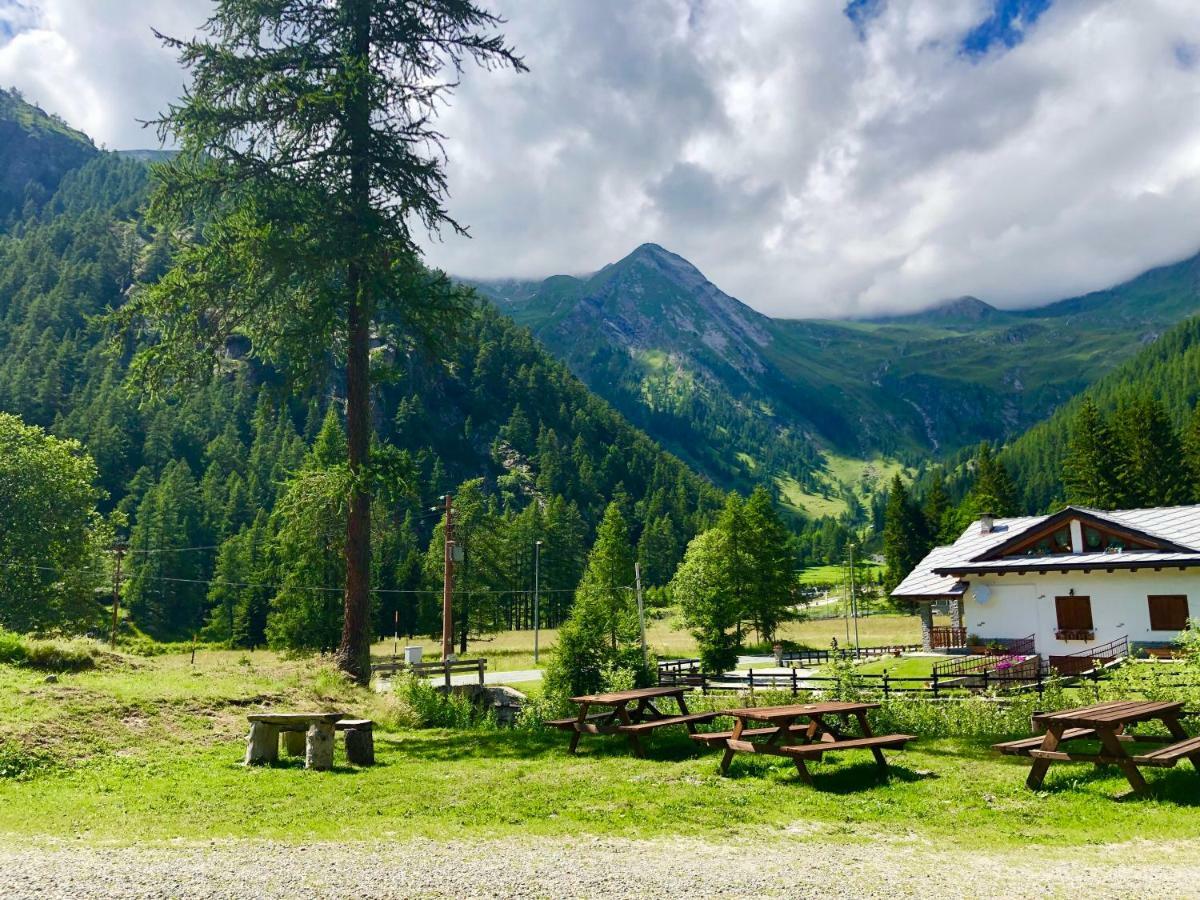 Chalet Rosa Dei Monti Piamprato Exterior photo